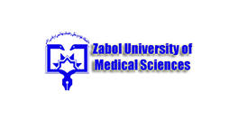 Zabol UMS