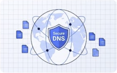 پلتفرم DNS سازمانی